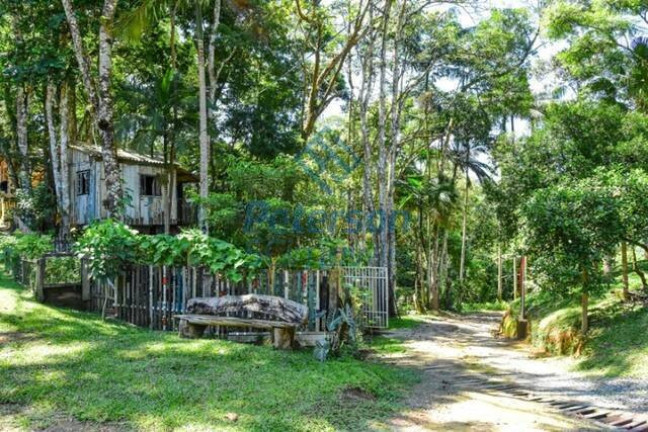 Imagem Chácara com 7 Quartos à Venda, 148.918 m² em Braço - Camboriú Imagem Chácara com 7 Quartos à Venda, 148.918 m² em Braço - Camboriú