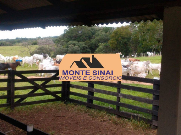 Imagem Fazenda à Venda, 59 m² em Centro - Guareí