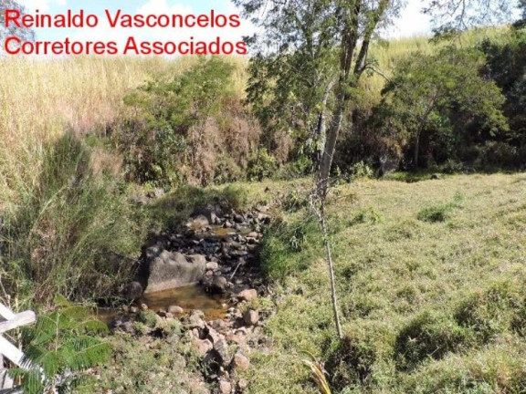 Imagem Imóvel com 3 Quartos à Venda, 3.872.000 m² em Passa Vinte - Cruzeiro Imagem Imóvel com 3 Quartos à Venda, 3.872.000 m² em Passa Vinte - Cruzeiro