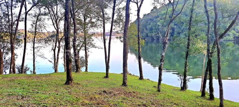 Imagem Imóvel à Venda, 20.000 m² em Botiatuva - Campo Largo Imagem Imóvel à Venda, 20.000 m² em Botiatuva - Campo Largo