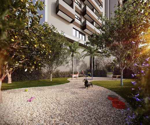 Imagem Apartamento com 3 Quartos à Venda, 83 m² em Jardim Santo Amaro - São Paulo Imagem Apartamento com 3 Quartos à Venda, 83 m² em Jardim Santo Amaro - São Paulo
