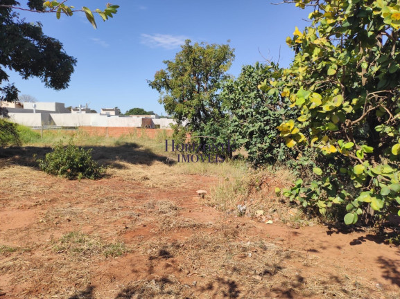 Imagem Terreno à Venda, 360 m² em Jardim Mansur - Campo Grande Imagem Terreno à Venda, 360 m² em Jardim Mansur - Campo Grande