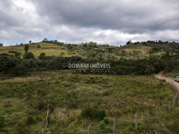 Imagem Terreno à Venda, 7.500 m² em Região Do Parque Da Ferradura - Campos Do Jordão Imagem Terreno à Venda, 7.500 m² em Região Do Parque Da Ferradura - Campos Do Jordão