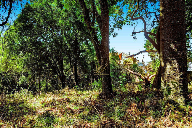 Imagem Terreno à Venda, 2.189 m² em Pinheirinho - Curitiba Imagem Terreno à Venda, 2.189 m² em Pinheirinho - Curitiba