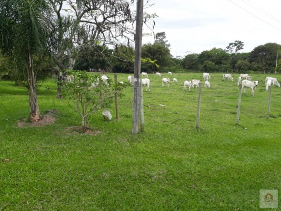 Imagem Fazenda à Venda, 8 m² em Camburi - Maricá Imagem Fazenda à Venda, 8 m² em Camburi - Maricá