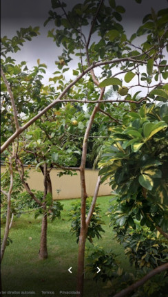 Imagem Imóvel com 3 Quartos à Venda, 65 m² em Barra Funda - São Paulo Imagem Imóvel com 3 Quartos à Venda, 65 m² em Barra Funda - São Paulo
