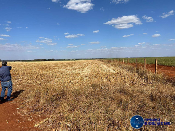 Imagem Fazenda à Venda, 52 m² em Zona Rural - Santa Helena De Goiás Imagem Fazenda à Venda, 52 m² em Zona Rural - Santa Helena De Goiás