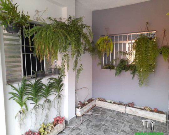 Imagem Casa com 3 Quartos à Venda, 200 m² em Centro - Bragança Paulista Imagem Casa com 3 Quartos à Venda, 200 m² em Centro - Bragança Paulista