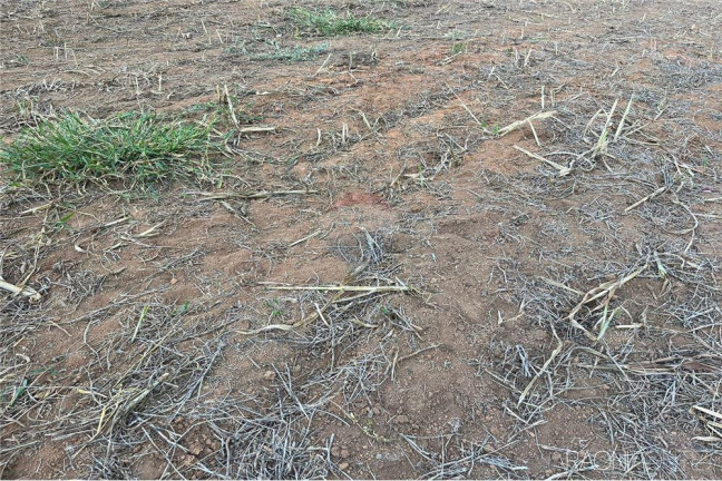 Imagem Fazenda à Venda, 710.000 m² em Perdizes - Perdizes