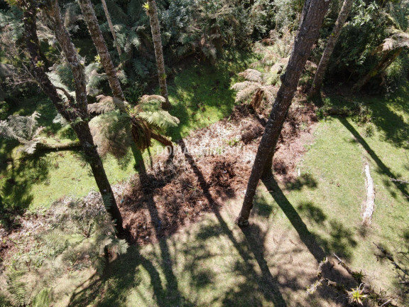 Imagem Casa com 4 Quartos à Venda, 340 m² em Região De Descansópolis - Campos Do Jordão Imagem Casa com 4 Quartos à Venda, 340 m² em Região De Descansópolis - Campos Do Jordão