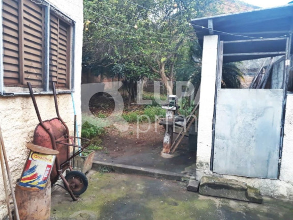 Imagem Terreno à Venda, 70 m² em Vila Maria - São Paulo Imagem Terreno à Venda, 70 m² em Vila Maria - São Paulo