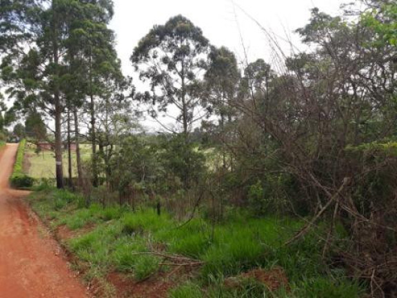 Imagem Terreno à Venda, 5.643 m² em Paruru - Ibiúna