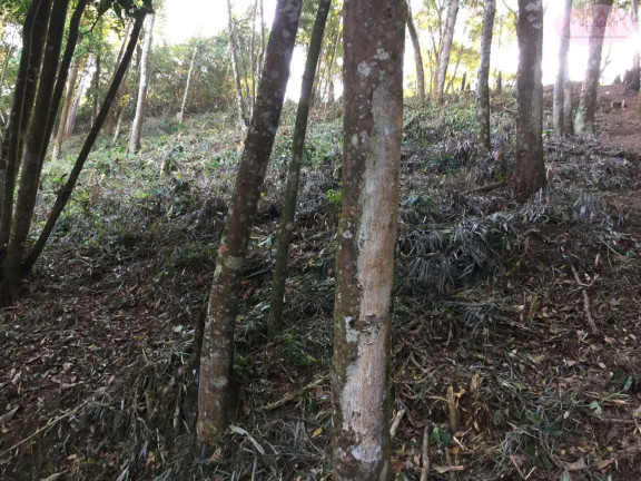 Imagem Terreno à Venda, 1.327 m² em Pilar Velho - Ribeirão Pires