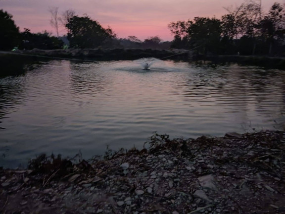 Imagem Chácara à Venda, 1 m² em Cuiabá Imagem Chácara à Venda, 1 m² em Cuiabá