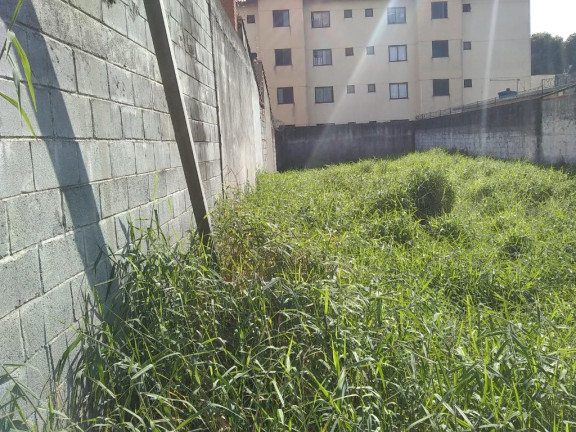 Imagem Terreno para Alugar, 333 m² em Centro - Suzano Imagem Terreno para Alugar, 333 m² em Centro - Suzano
