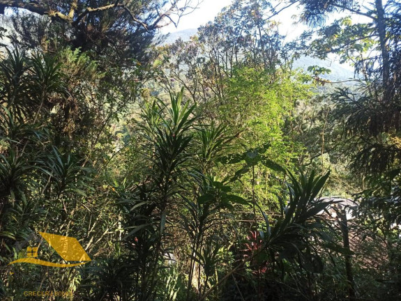 Imagem Chácara com 3 Quartos à Venda, 150 m² em Theodoro De Oliveira - Nova Friburgo Imagem Chácara com 3 Quartos à Venda, 150 m² em Theodoro De Oliveira - Nova Friburgo