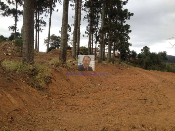Imagem Terreno à Venda, 2.742 m² em Jardim Sandra - Cotia Imagem Terreno à Venda, 2.742 m² em Jardim Sandra - Cotia