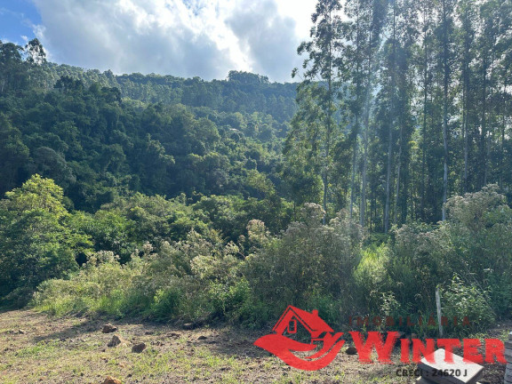 Imagem Terreno à Venda, 2.162 m² em Linha Neis - São Vendelino Imagem Terreno à Venda, 2.162 m² em Linha Neis - São Vendelino