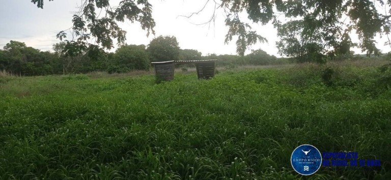 Imagem Fazenda à Venda, 86 m² em Zona Rural - Montes Claros De Goiás Imagem Fazenda à Venda, 86 m² em Zona Rural - Montes Claros De Goiás
