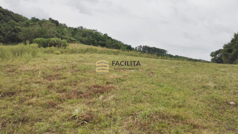Imagem Imóvel à Venda, 170.000 m² em Cascata - Pelotas Imagem Imóvel à Venda, 170.000 m² em Cascata - Pelotas