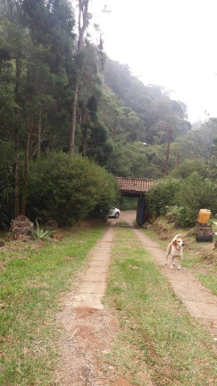 Imagem Imóvel com 3 Quartos à Venda, 13.504 m² em Somma - Ribeirão Pires