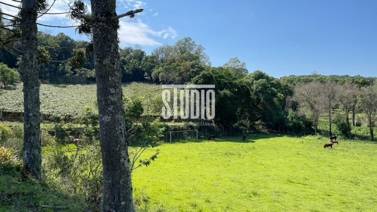 Imagem Terreno à Venda, 180.000 m² em Interior - Monte Belo Do Sul Imagem Terreno à Venda, 180.000 m² em Interior - Monte Belo Do Sul