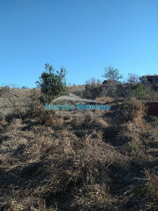 Imagem Imóvel com 2 Quartos à Venda, 7.000 m² em Zona Rural - Borda Da Mata Imagem Imóvel com 2 Quartos à Venda, 7.000 m² em Zona Rural - Borda Da Mata