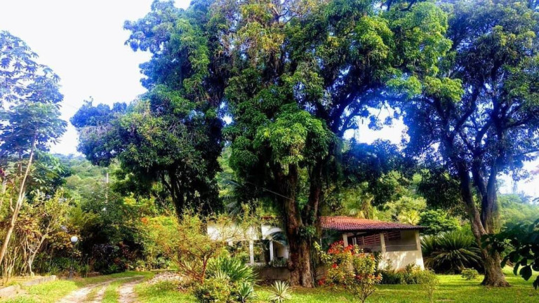 Imagem Casa com 6 Quartos à Venda, 400 m² em Camorim - Rio De Janeiro