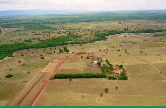 Imagem Fazenda à Venda, 1 m² em Centro - Formosa
