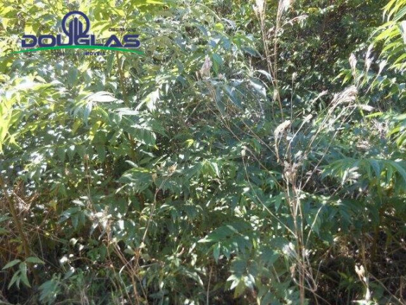 Imagem Terreno à Venda, 600 m² em águas Claras - Viamão