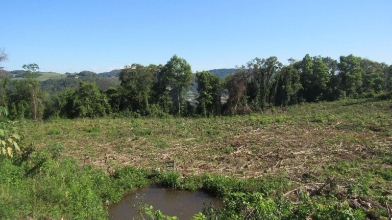 Imagem Casa com 1 Quarto à Venda, 36.000 m² em Centro - Lindóia Do Sul Imagem Casa com 1 Quarto à Venda, 36.000 m² em Centro - Lindóia Do Sul