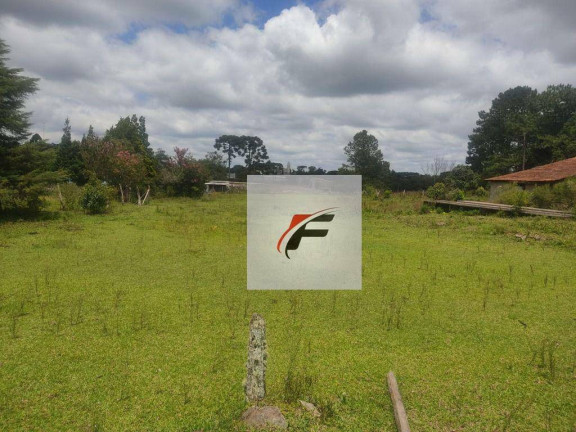 Imagem Terreno à Venda, 44.162 m² em Lapa - Mariental Imagem Terreno à Venda, 44.162 m² em Lapa - Mariental