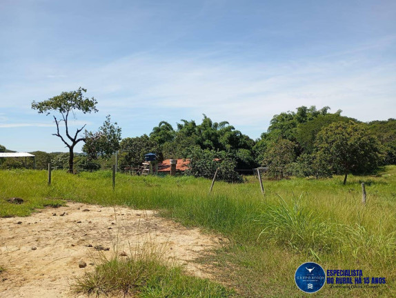 Imagem Fazenda à Venda, 60 m² em Zona Rural - Jussara Imagem Fazenda à Venda, 60 m² em Zona Rural - Jussara