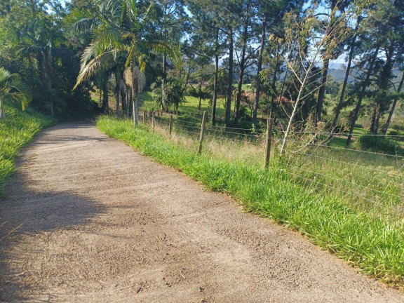 Imagem Imóvel com 3 Quartos à Venda, 20.000 m² em Rural - Concórdia Imagem Imóvel com 3 Quartos à Venda, 20.000 m² em Rural - Concórdia