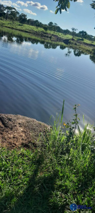 Imagem Fazenda à Venda, 294 m² em Zona Rural - Arraias Imagem Fazenda à Venda, 294 m² em Zona Rural - Arraias