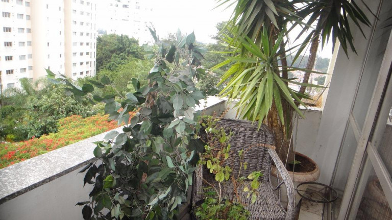 Imagem Apartamento com 3 Quartos à Venda, 160 m² em Morumbi - São Paulo Imagem Apartamento com 3 Quartos à Venda, 160 m² em Morumbi - São Paulo