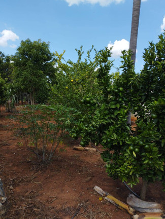 Imagem Chácara com 2 Quartos à Venda, 1.400 m² em Jardim Cananéia - Pilar Do Sul Imagem Chácara com 2 Quartos à Venda, 1.400 m² em Jardim Cananéia - Pilar Do Sul