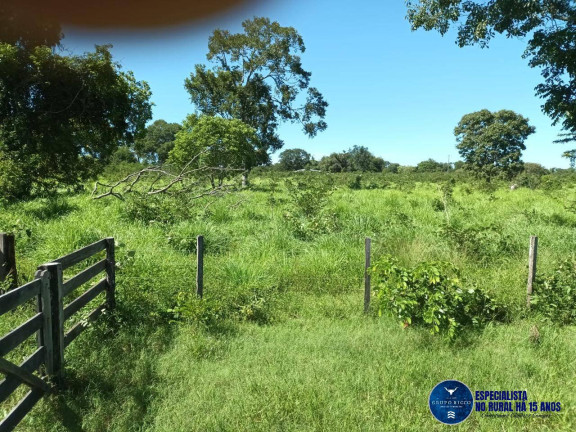 Imagem Fazenda à Venda, 200 m² em Zona Rural - Uirapuru Imagem Fazenda à Venda, 200 m² em Zona Rural - Uirapuru