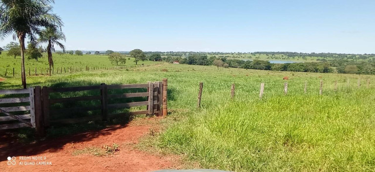 Imagem Fazenda à Venda, 106 m² em Mg - Iturama Imagem Fazenda à Venda, 106 m² em Mg - Iturama