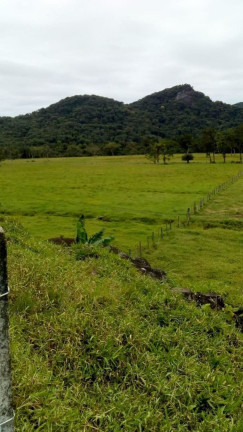 Imagem Fazenda à Venda, 90 m² em Braço Grande - Miracatu Imagem Fazenda à Venda, 90 m² em Braço Grande - Miracatu