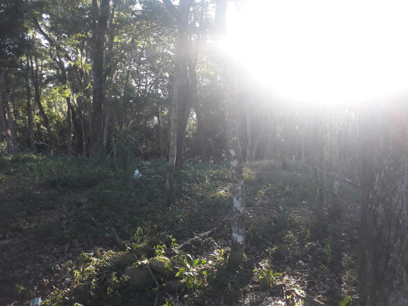 Imagem Terreno à Venda, 1.000 m² em Ortizes - Piedade Imagem Terreno à Venda, 1.000 m² em Ortizes - Piedade