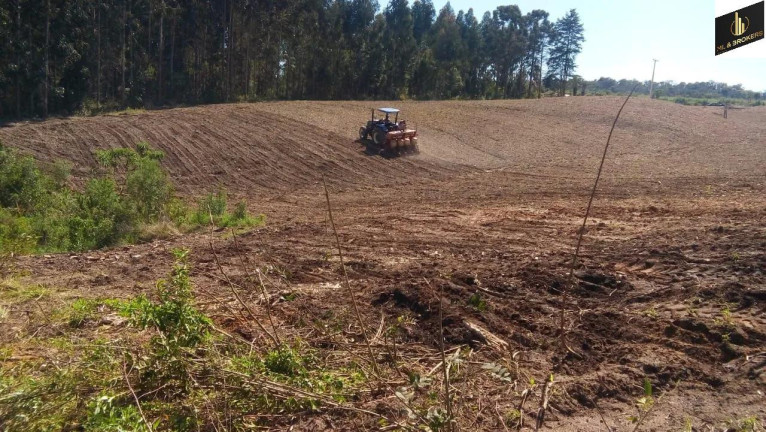 Imagem Imóvel com 2 Quartos à Venda, 24.200 m² em Lagoa Dos Ferreira - Mandirituba Imagem Imóvel com 2 Quartos à Venda, 24.200 m² em Lagoa Dos Ferreira - Mandirituba