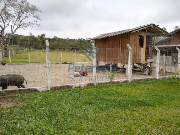Imagem Chácara à Venda, 10.000 m² em Morro Alto - Balneário Piçarras