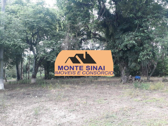 Imagem Chácara com 3 Quartos à Venda, 24.500 m² em Centro - Capela Do Alto
