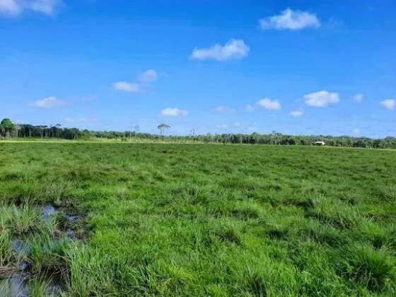 Imagem Chácara à Venda, 1 m² em Setor Central - Peixe Imagem Chácara à Venda, 1 m² em Setor Central - Peixe