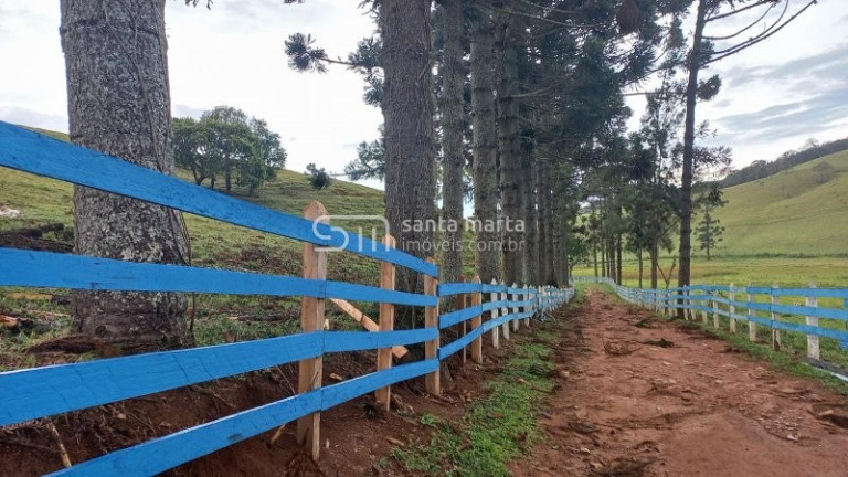 Imagem Imóvel com 5 Quartos à Venda, 375 m² em Pinhal Novo - Lorena Imagem Imóvel com 5 Quartos à Venda, 375 m² em Pinhal Novo - Lorena