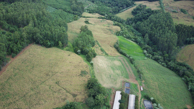 Imagem Terreno à Venda, 450.000 m² em Rural - Três Arroios Imagem Terreno à Venda, 450.000 m² em Rural - Três Arroios
