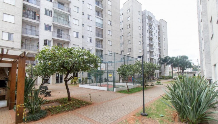 Imagem Imóvel com 3 Quartos à Venda, 56 m² em Vila Califórnia - São Paulo Imagem Imóvel com 3 Quartos à Venda, 56 m² em Vila Califórnia - São Paulo