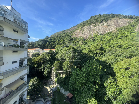 Imagem Apartamento com 4 Quartos à Venda, 200 m² em Itanhangá - Rio De Janeiro Imagem Apartamento com 4 Quartos à Venda, 200 m² em Itanhangá - Rio De Janeiro