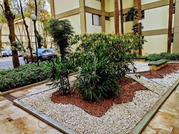 Imagem Apartamento com 3 Quartos à Venda, 80 m² em Chácara Flora - São Paulo